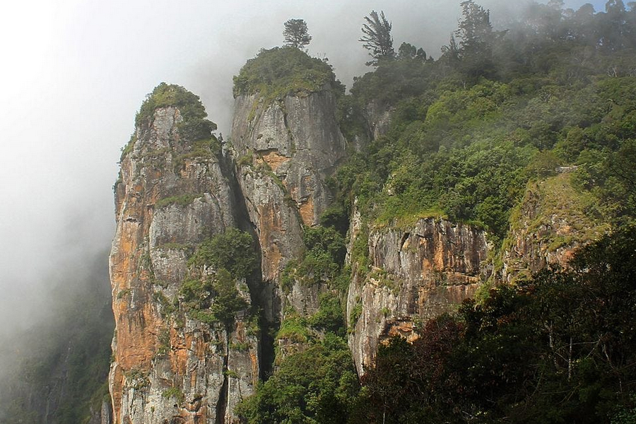 Luxury Glamping in Kodaikanal